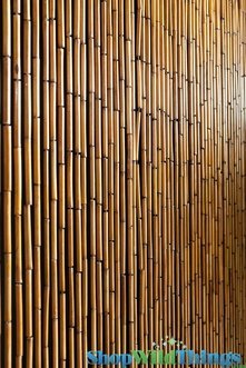 beaded door curtains natural wooden and bamboo door beads - 36+ choices VTCPZWT