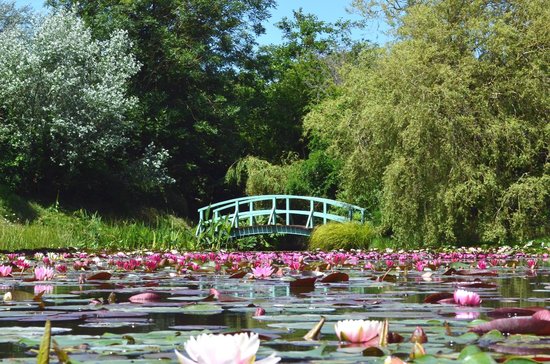 bennetts water gardens (weymouth, england): top tips before you go (with  photos) LTUBPEN