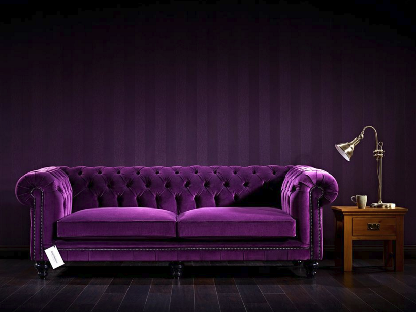 how a purple sofa caused a facebook frenzy TKWIQAS