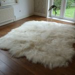 icelandic sheepskin rug ... AEBYCSW