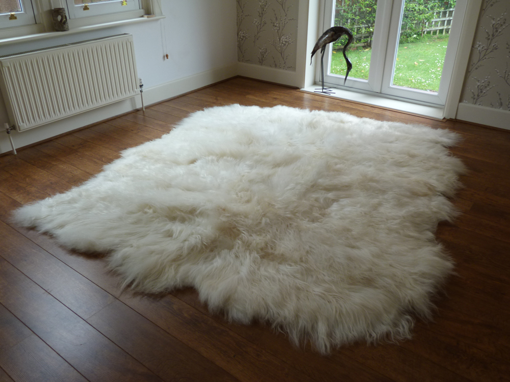 icelandic sheepskin rug ... AEBYCSW