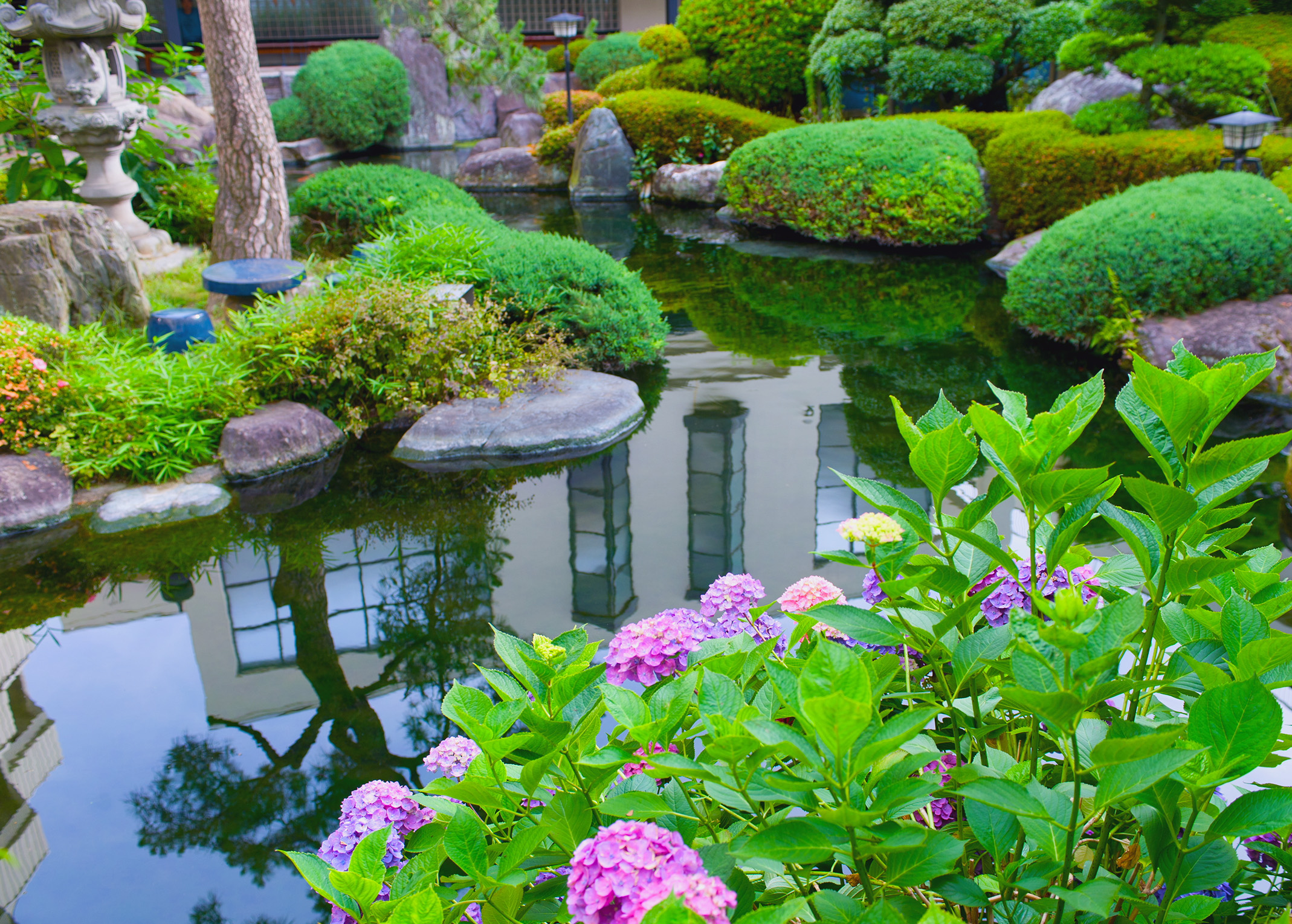 make your water gardens with trendy pond designs - carehomedecor LHDWILD