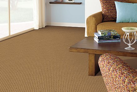 mohawk carpet benefits of mohawk smartstrand silk carpet YSDCERL