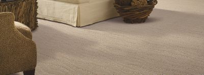 mohawk carpet majestic bounty carpet, porpoise carpeting | mohawk flooring AJIUTIA