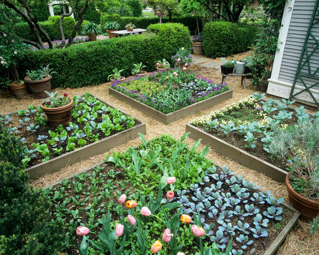 raised bed garden design KNKMCOT