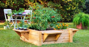 raised bed garden how to build a raised bed with benches - bonnie plants BJUIAGA