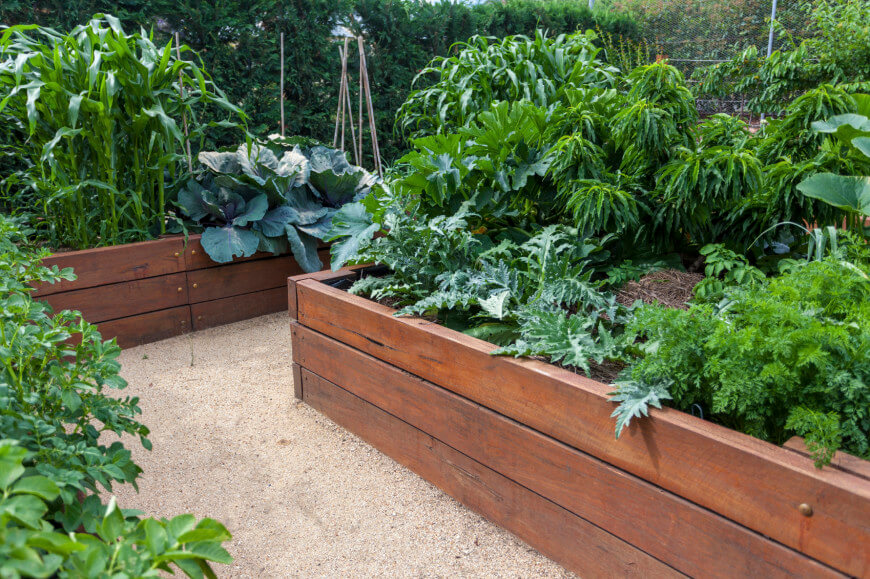 raised bed garden lush raised garden beds in neat wooden boxes. LDEZXHB