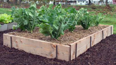 raised bed garden plank and rebar raised bed WXWSALQ