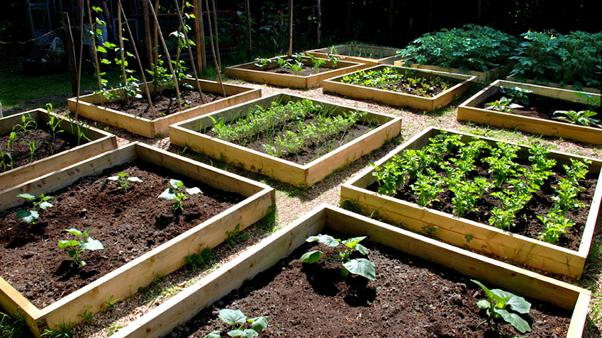 raised bed garden raised bed gardening EARWLKQ