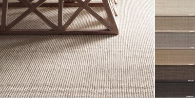 Sisal rugs -used to make a percentage of the best rugs in the business sector today