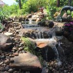 water gardens ecosystem pond new smyrna beach central florida UXWIQOB