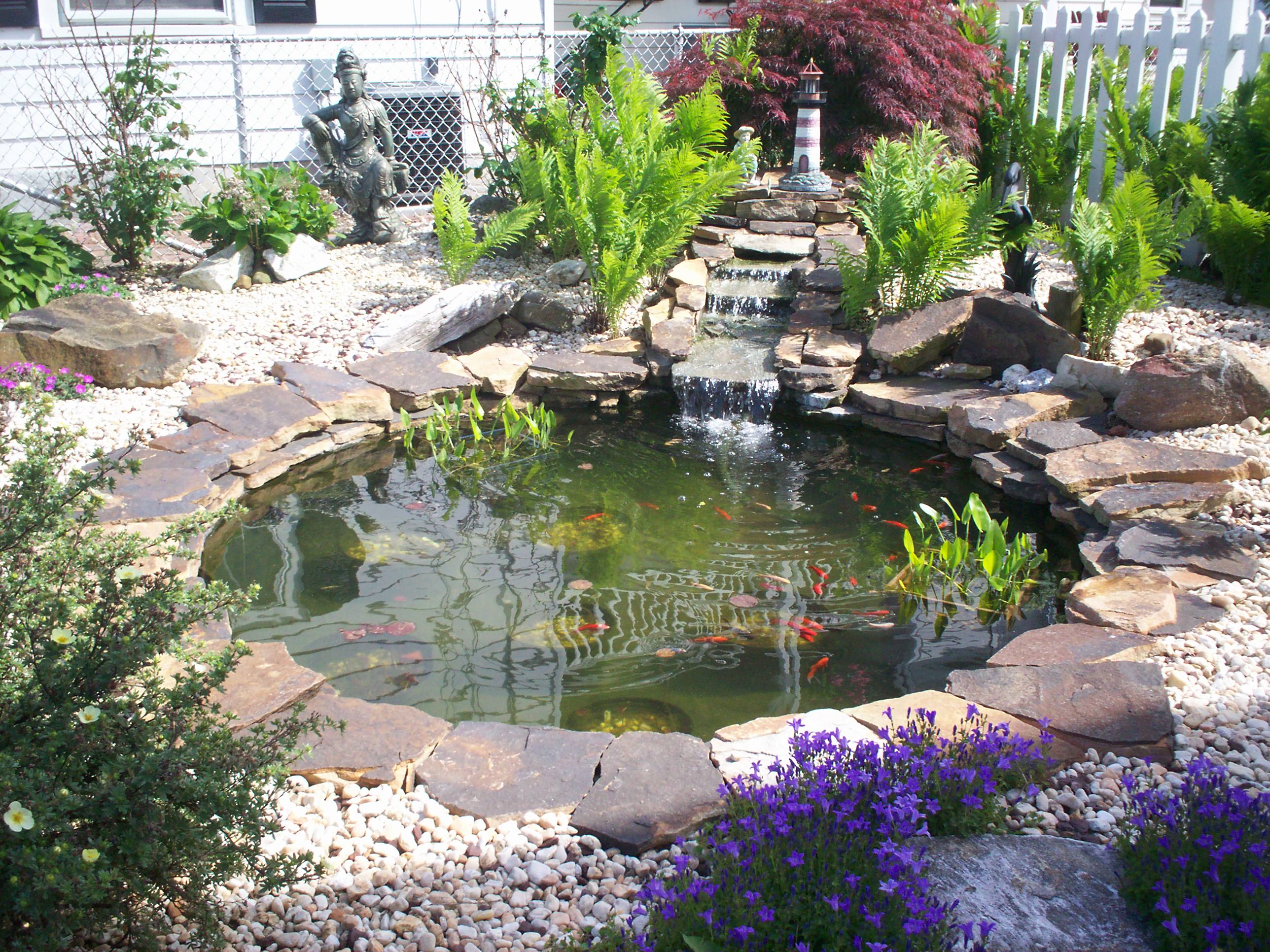 Add a natural look to your house with water gardens