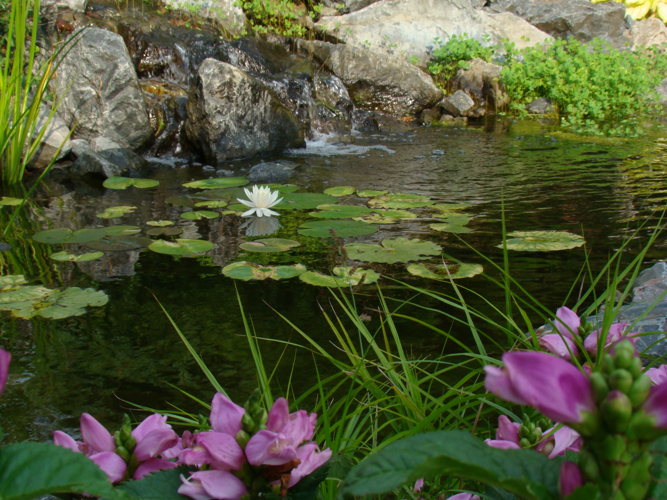 water gardens RYAVTYK