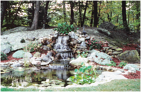 water gardens u0026 fish ponds - norwalk, ct | loglisci water gardens WFTKYDX