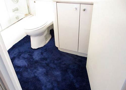 bathroom carpet carpeted-bathroom SAQWEXB