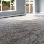 best carpet carpet cleaning FWDBHSW