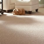 best carpet carpeting GRVJBYU