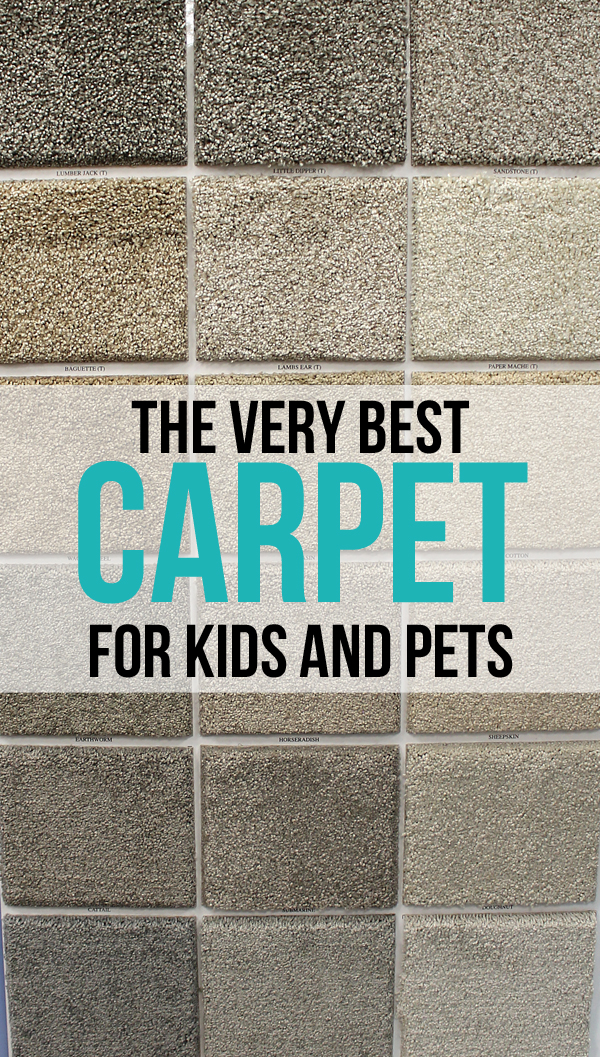 best carpet for pets WOAXBRI