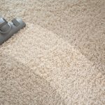carpet flooring carpet GWFRLTE