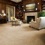 carpeting ideas stainmaster carpet idea gallery | carpets, rugs FNJLMQS