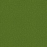 green carpet download as .jpg RPCXGLN