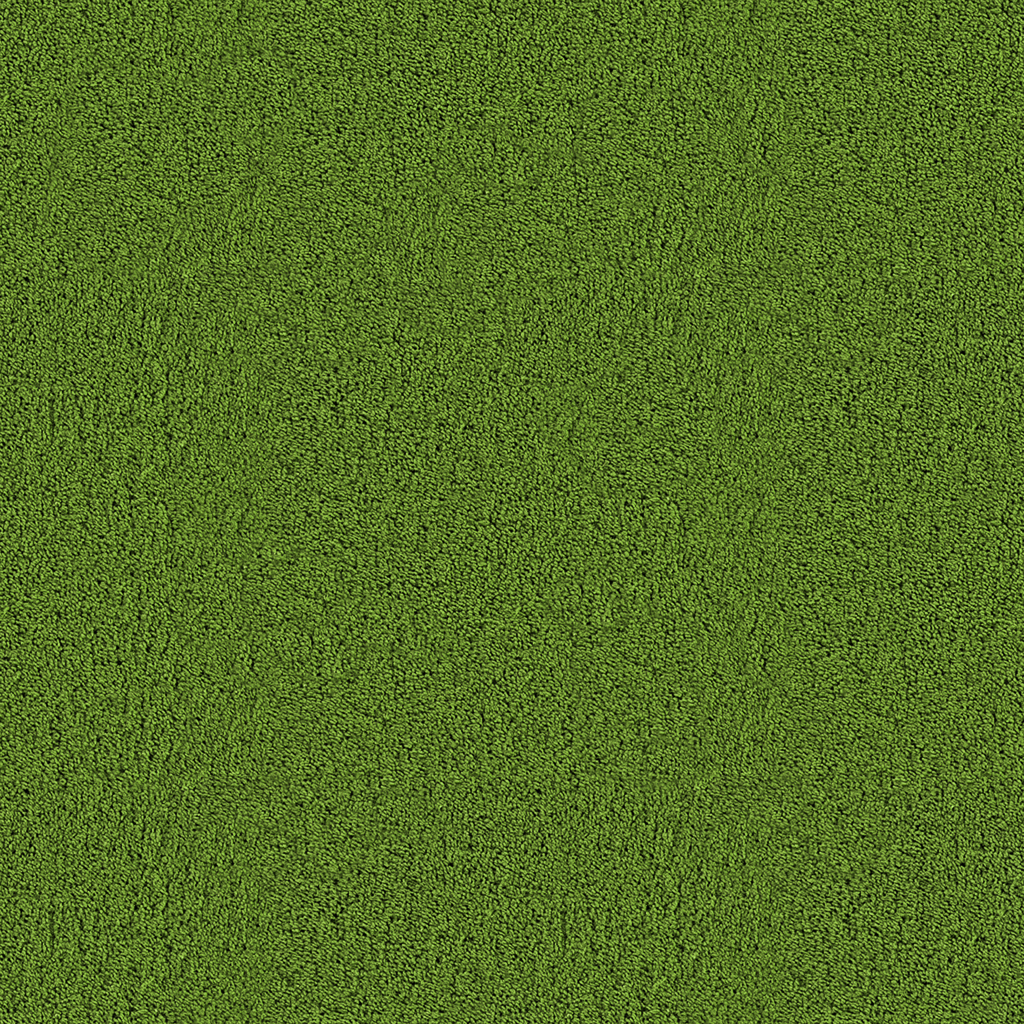 green carpet download as .jpg RPCXGLN