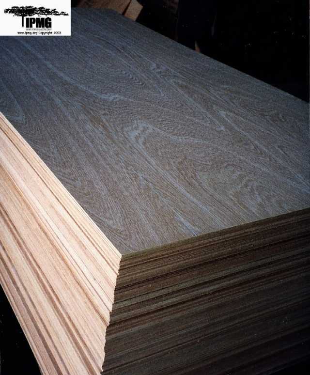 imported hardwood plywood - buy plywood product on alibaba.com WMMHPTI