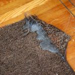 polypropylene rugs how to buy a rug: polypropylene harmful JPGOHCW