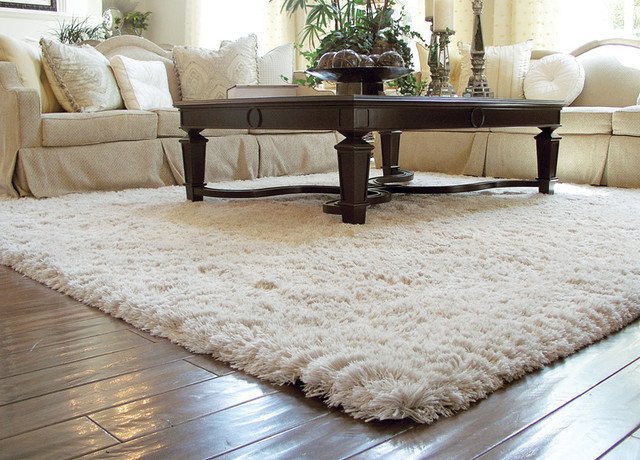 rugs for living room auroroa borealis shag rug traditional-living-room OTVDZVU