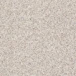 Shaw carpet modern twist - z6821 shaw anso nylon carpet DJPHALF