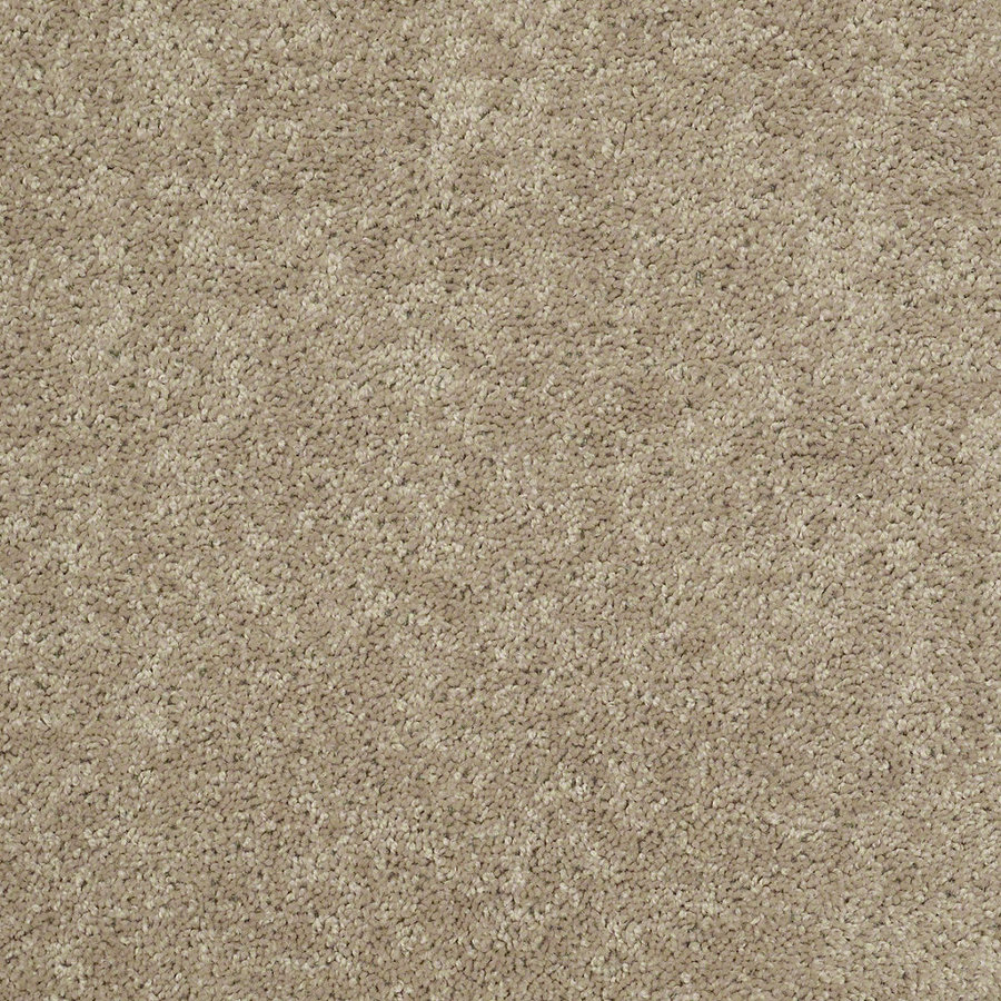 Shaw carpet shaw stock sand textured indoor carpet UXJWTHS