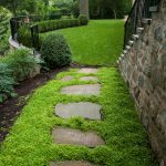 Stepping Stones ground cover and irregular stepping stones - d u0026 a dunlevy landscapers, inc. RDZPRBI