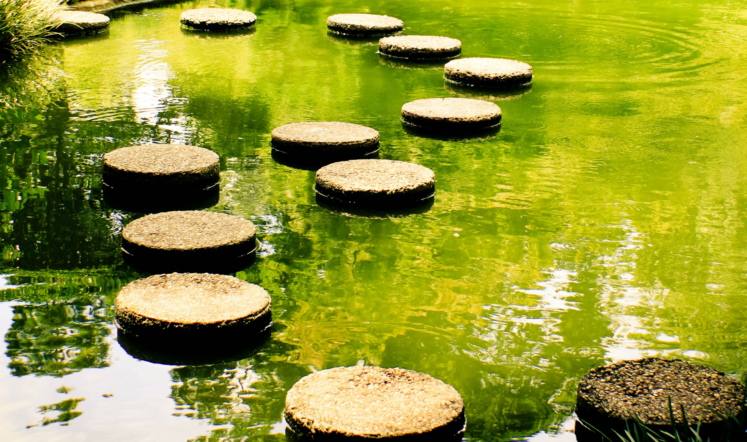 Stepping Stones how a stepping-stone role can help you make your career change | XMOXNQG