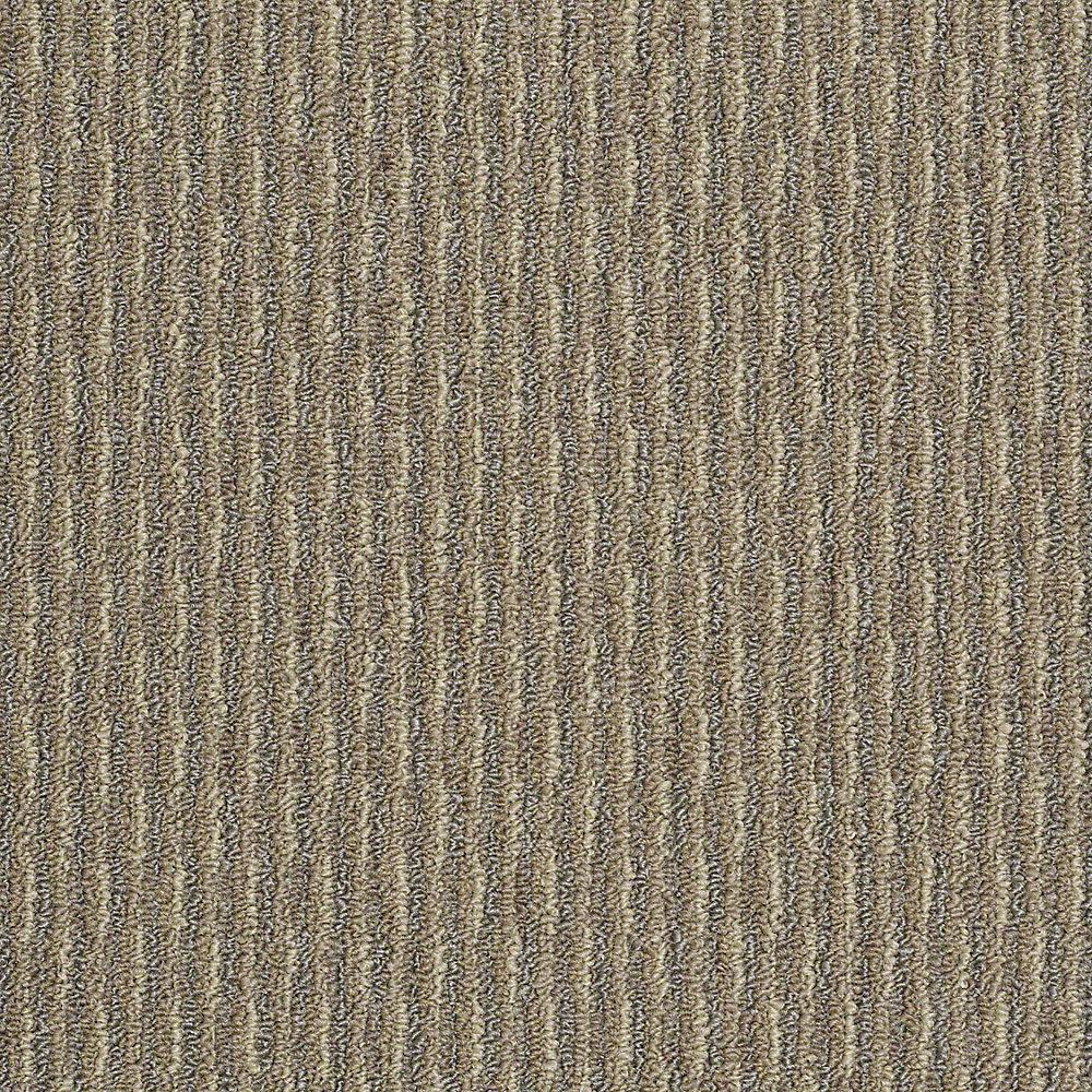 trafficmaster commercial carpet sample - morro bay - in color desert beige NXXDITH