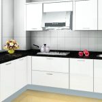 black and white kitchens with a splash of colour short back UDWPWDX