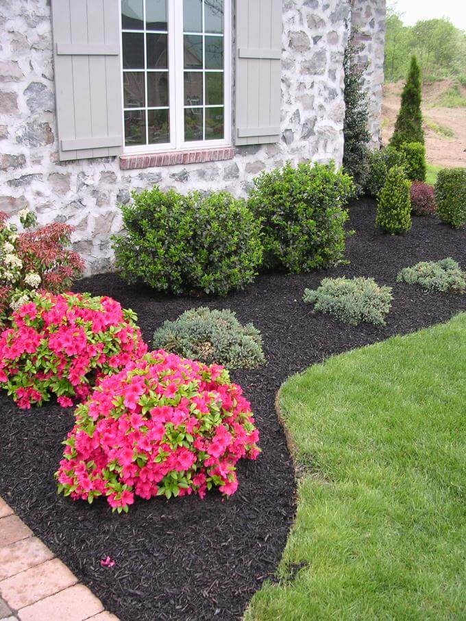 low maintenance landscaping ideas front yard low maintenance evergreen border with a pop of color SIKGRDH