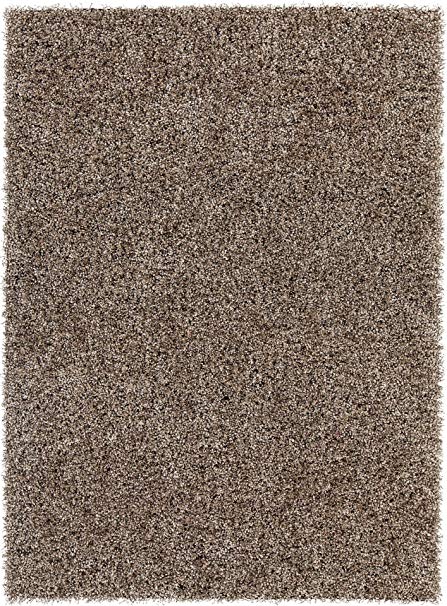 Amazon.com: Chandra Rugs Blossom Area Rug, 60-Inch by 84-Inch, Taupe