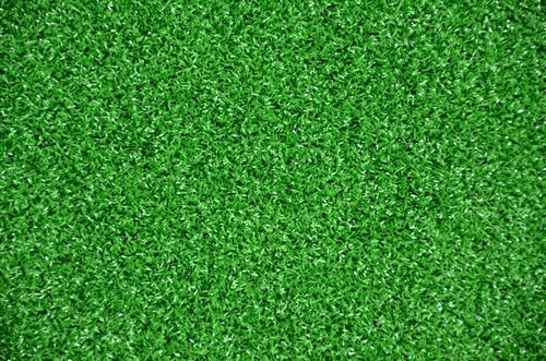 Dean Indoor/Outdoor Green Artificial Turf Rug - 6' x 8'