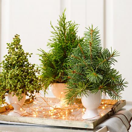 50 Quick and Easy Holiday Decorating Ideas | Midwest Living