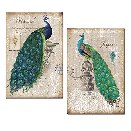 Amazon.com: Peacock Canvas Art Prints, Peacock Canvas Wall Art Home