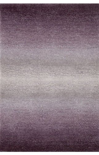 Amazon.com: Transocean OMBRE 9663/49 HORIZON PURPLE Rug - 42