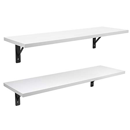 Amazon.com: Lovinland Wall Mounted Floating Shelf Two Layer Storage