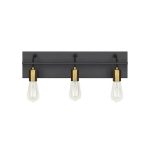 LBL Lighting Tae 24 in. W 3-Light Black Industrial Metal Bathroom .