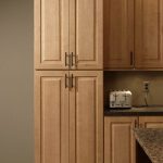 Love the color of these cabinets. Pantry Cabinet - Tall Kitchen .