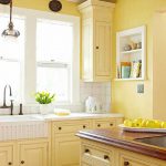 Kitchen Cabinet Color Choices | Kitchen cabinet colors, Painting .