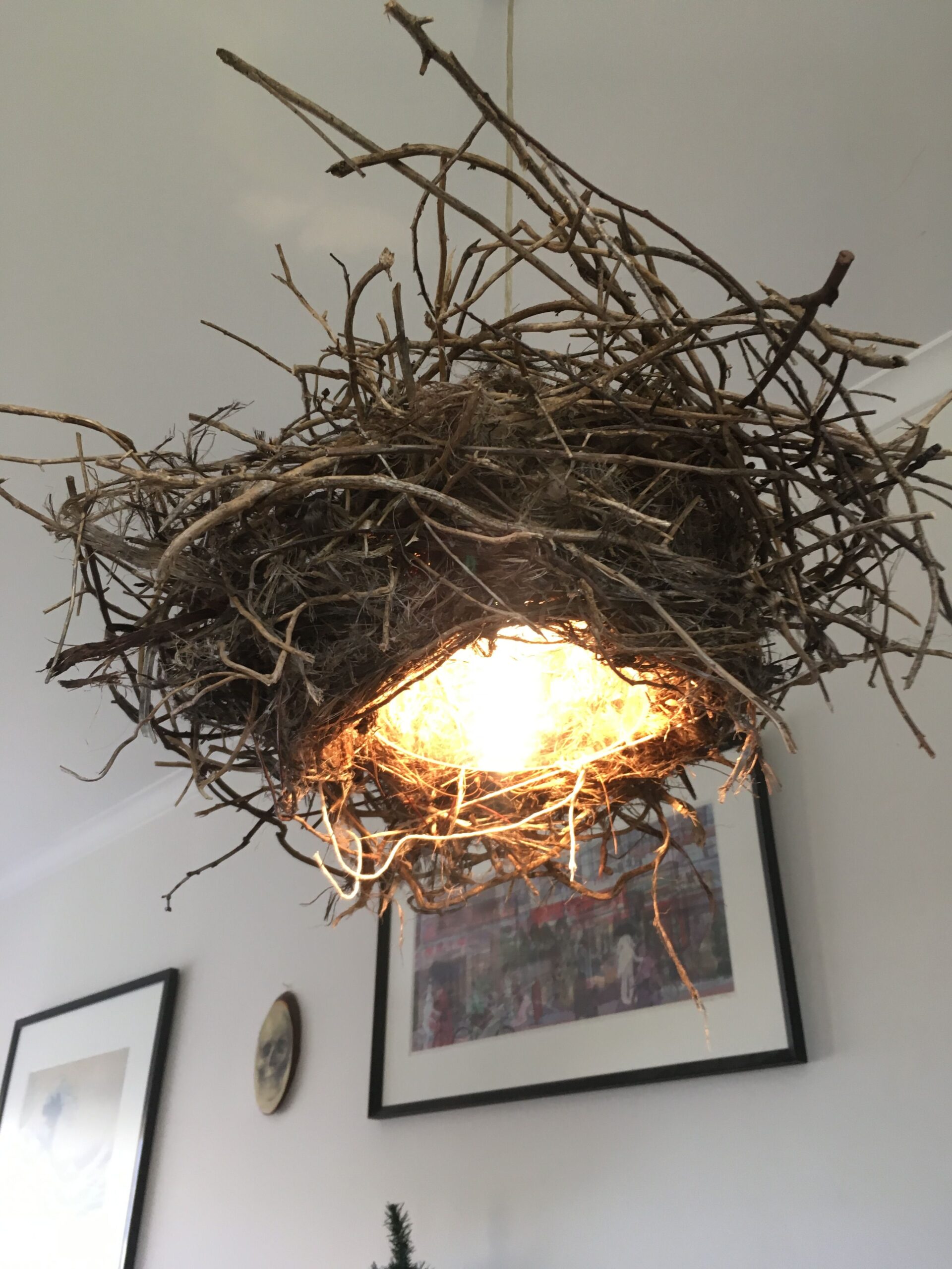 Twig Lights-NEW WAY TO GIVE YOUR HOUSE A  RAY OF LIGHT