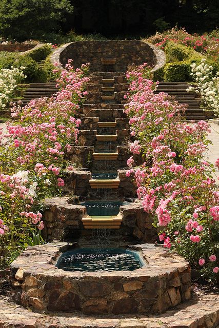 Add a natural look to your house with water gardens