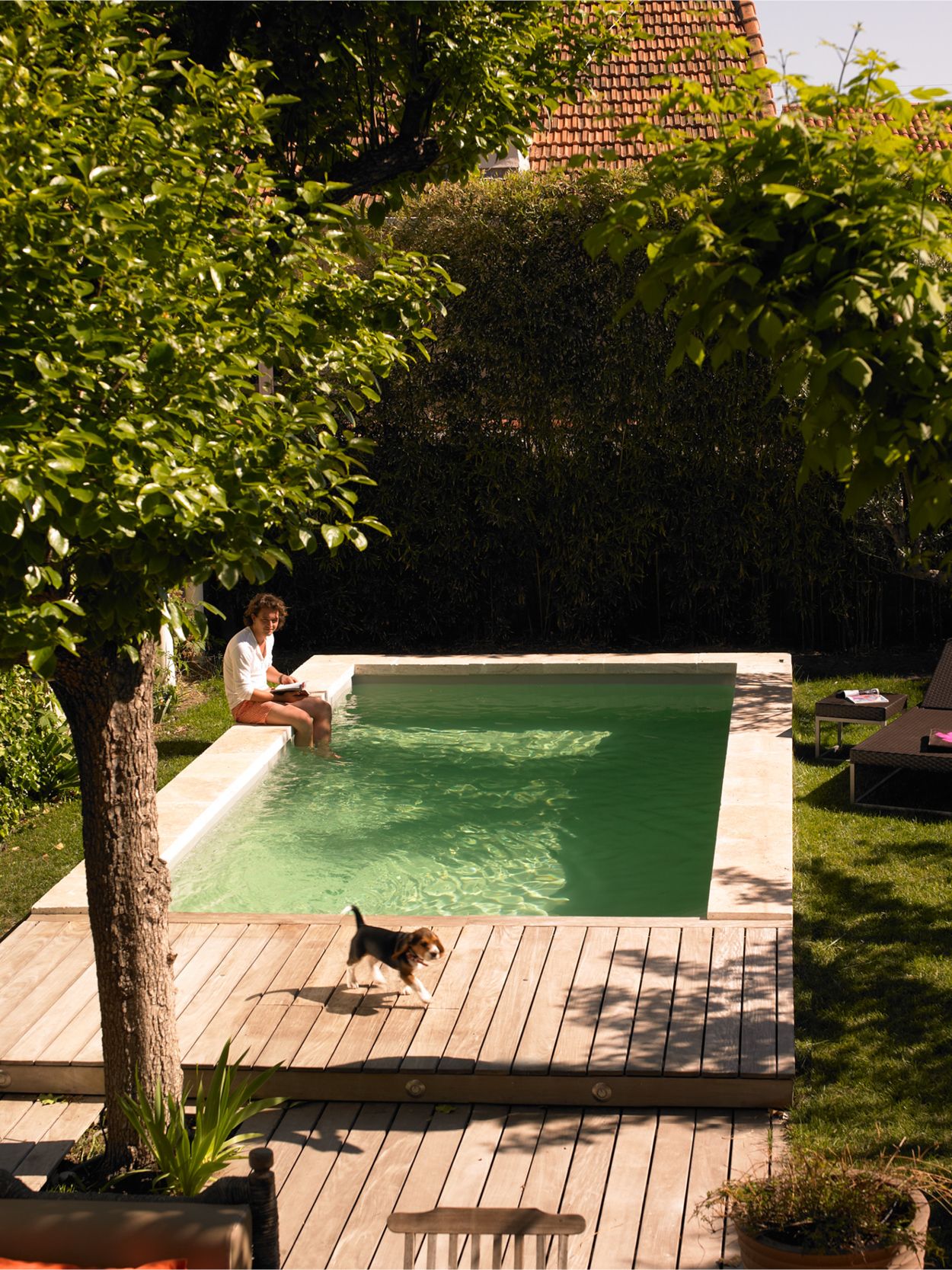 Experience luxury in your home by having a plunge pool