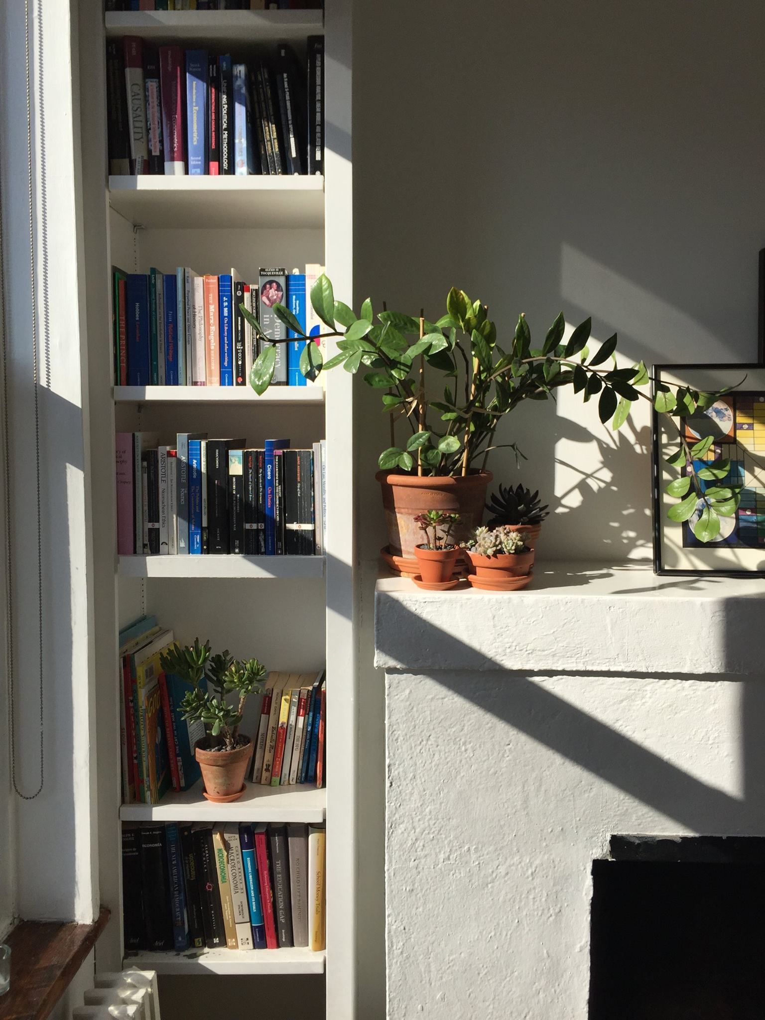 Small Bookshelf for Decor and Book  Organization