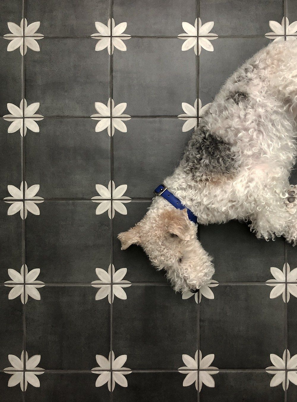 Use tile floor to make your home look gorgeous